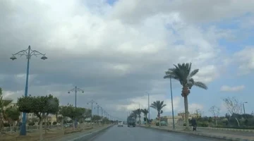 شبورة كثيفة لـ5 ساعات وأمطار متوقعة بنسبة 20% على القاهرة اليوم الإثنين